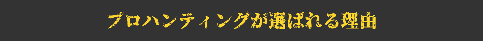 プロハンティング_選ばれる理由